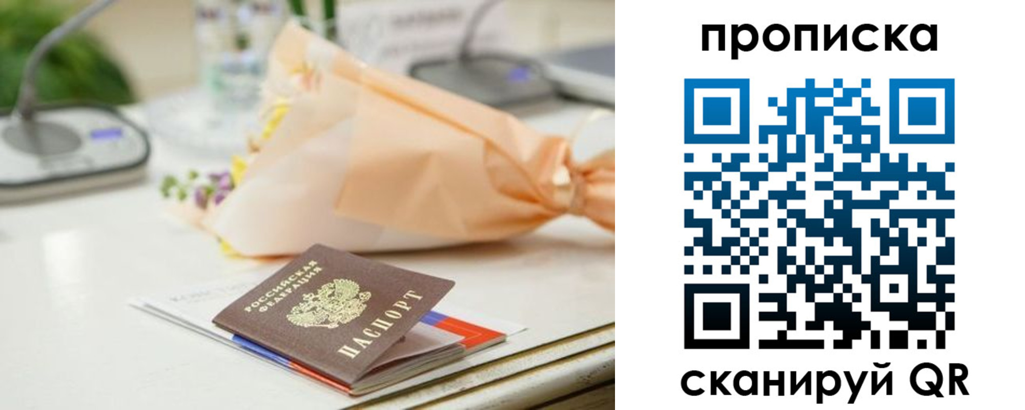 прописка гарантия в Тимашёвске